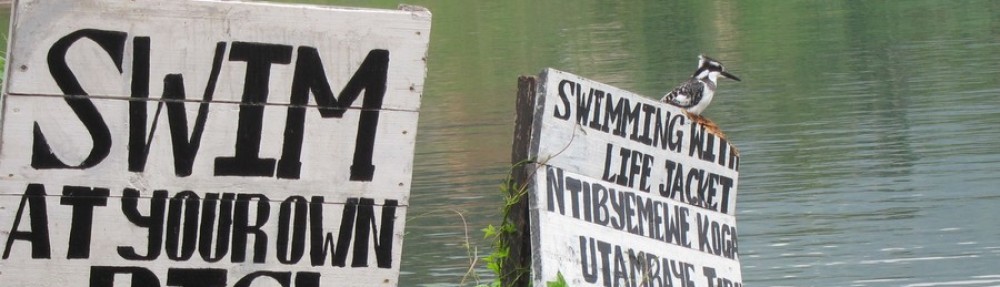 beckybadluck's flights of fancy