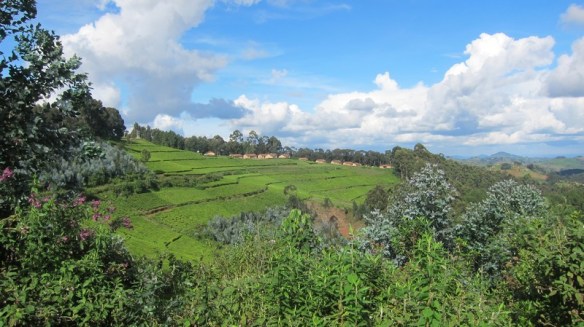 view back to where I live